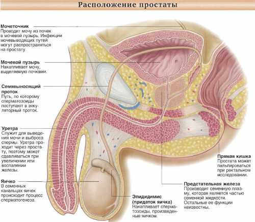 Т злокачественное образование прорастает вглубь тканей