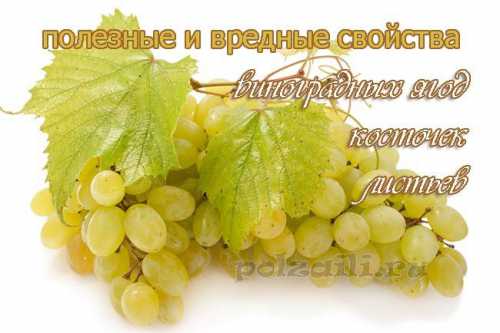 Виноградному соку свойственно хорошее бактерицидное, успокаивающее и слабительное воздействие