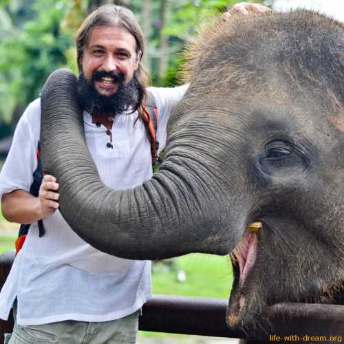 Слоны на Бали в Elephant Safari Park Фотографии на наши отзывы