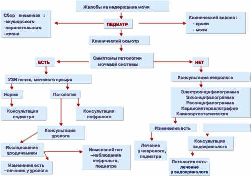 Факторы риска развития патологического процесса наличие энуреза в детском возрасте у одного из родителей матери или отца злоупотребление алкоголем у одного или обоих членов семьитяжелые или множественные роды у матери, доказанная гипоксия ребенка во время родовой деятельности