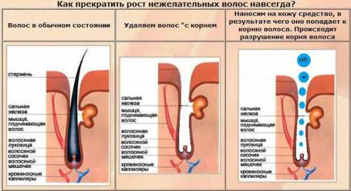 Использует длину волны до нм