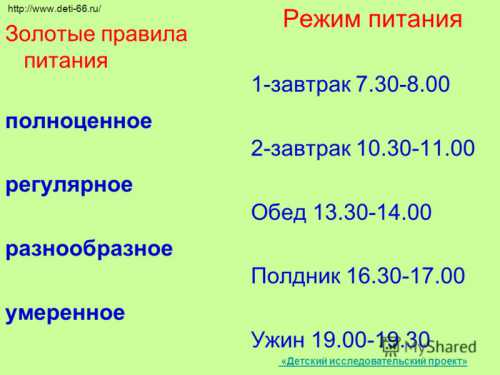 Правила питания школьников: завтрак, обед, ужин